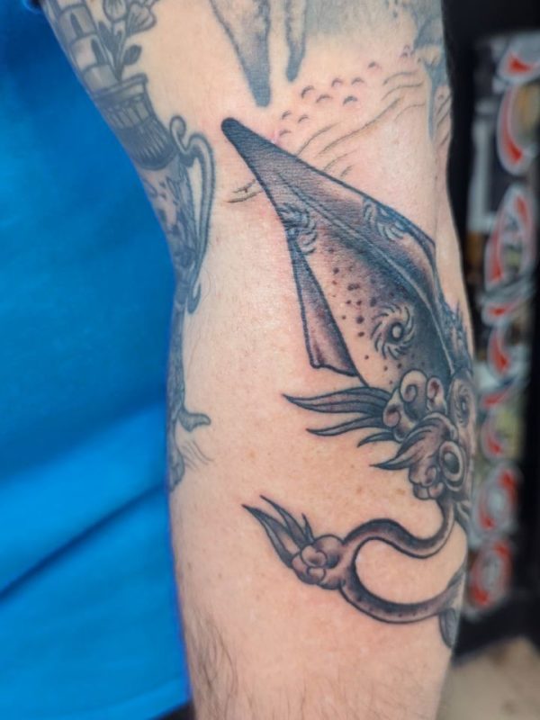 Black Gray Squid