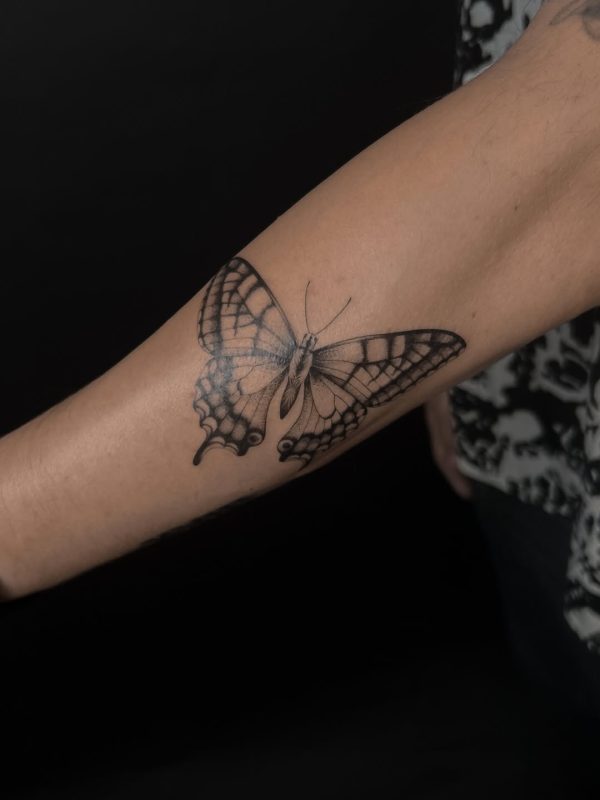 Realistic Butterfly