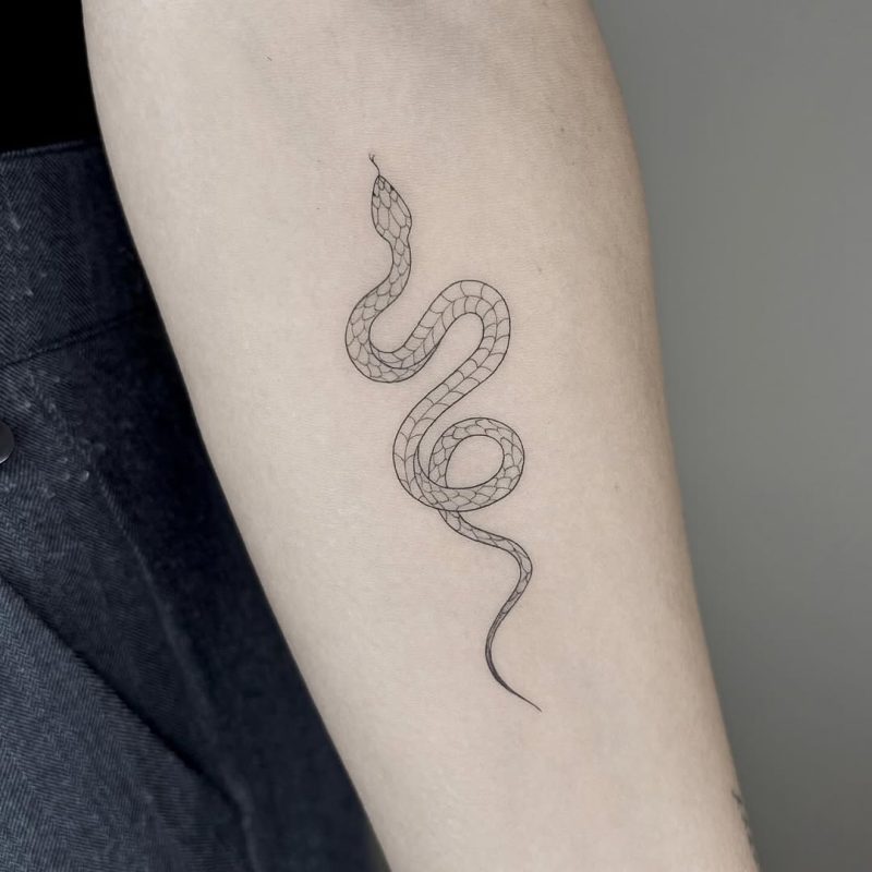 Delicate Snake