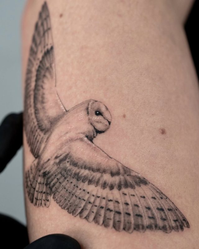 Flying Owl