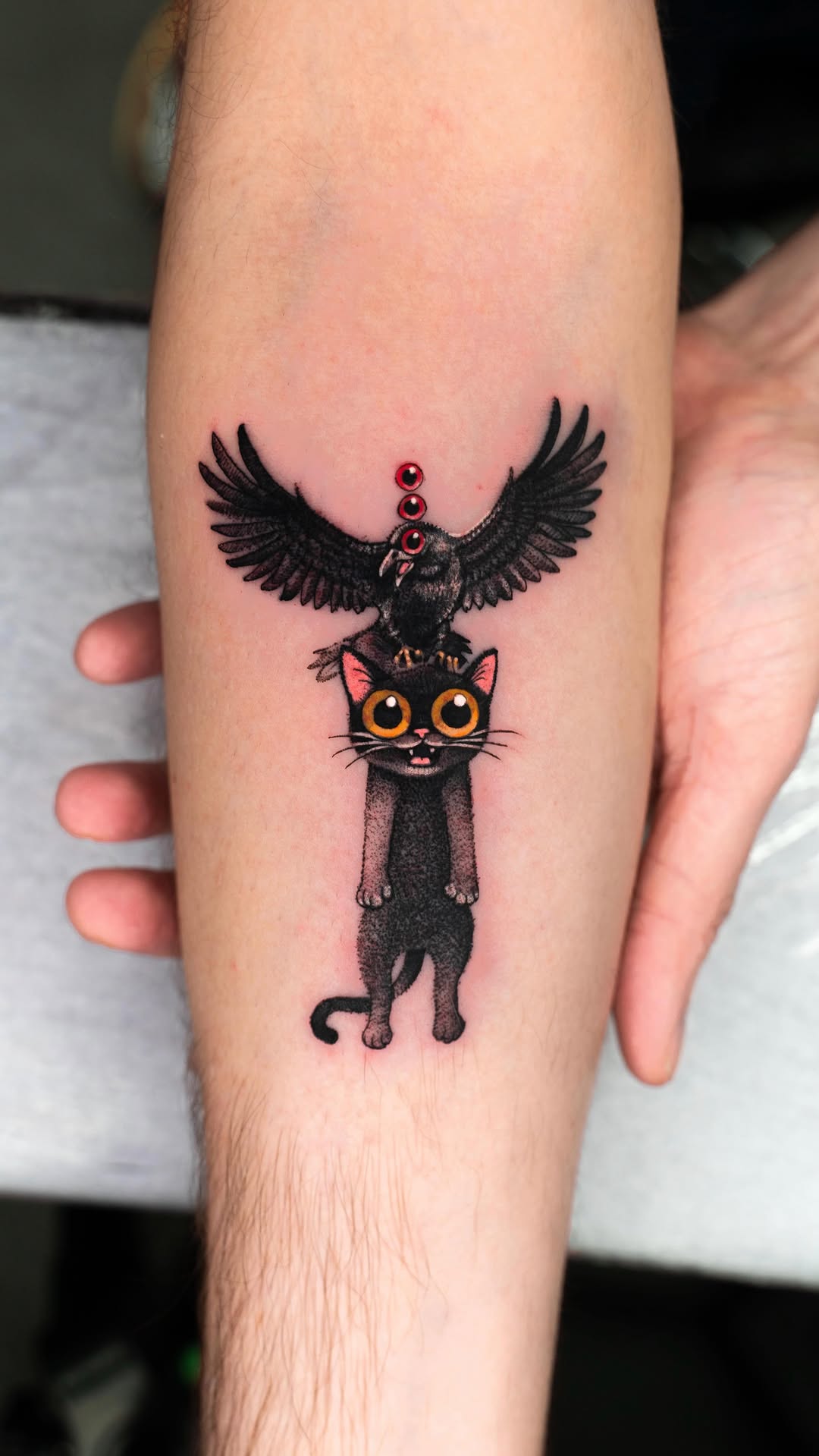 Cat and Crow
