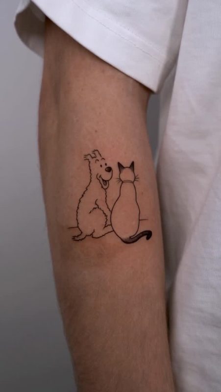 Dog and Cat