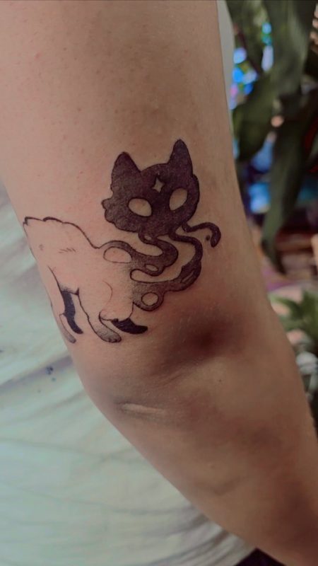 Abstract Cat