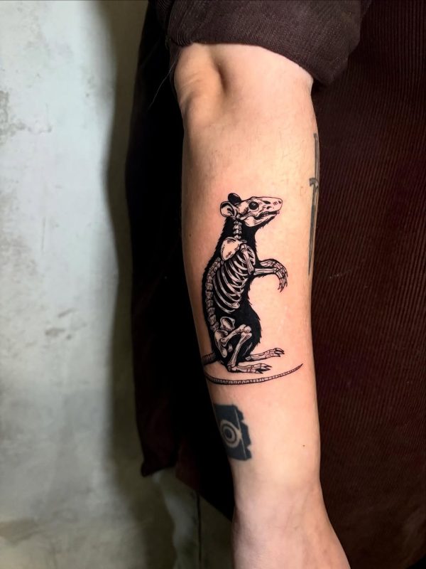 Skeletal Rat