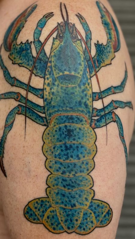Blue Lobster