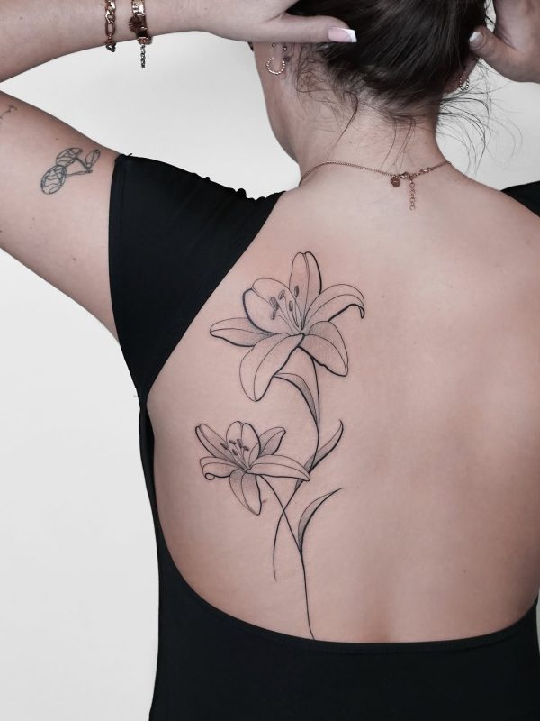 Delicate Lily Flowers