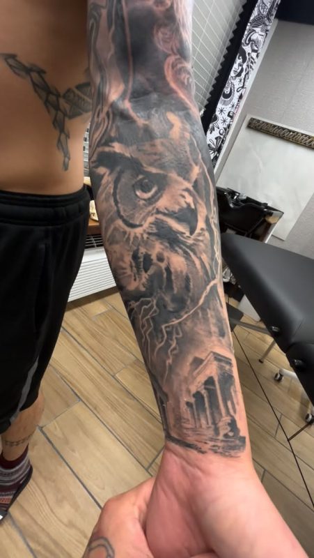 Owl and Ruins