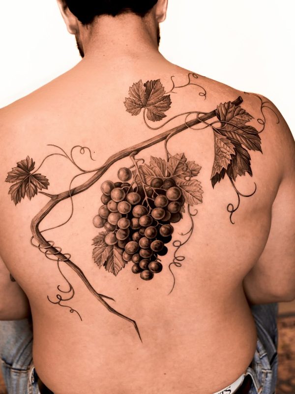 Grape Vine
