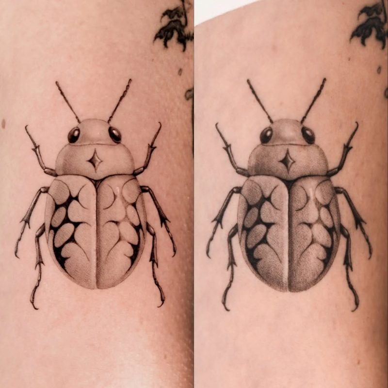 Dotwork Beetle