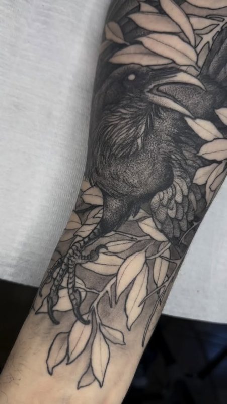 Black Gray Raven