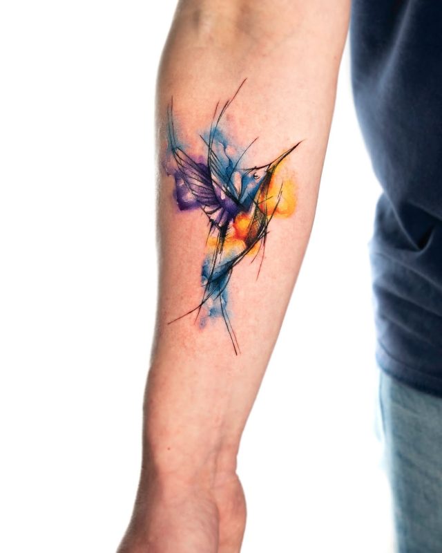 Colorful Hummingbird