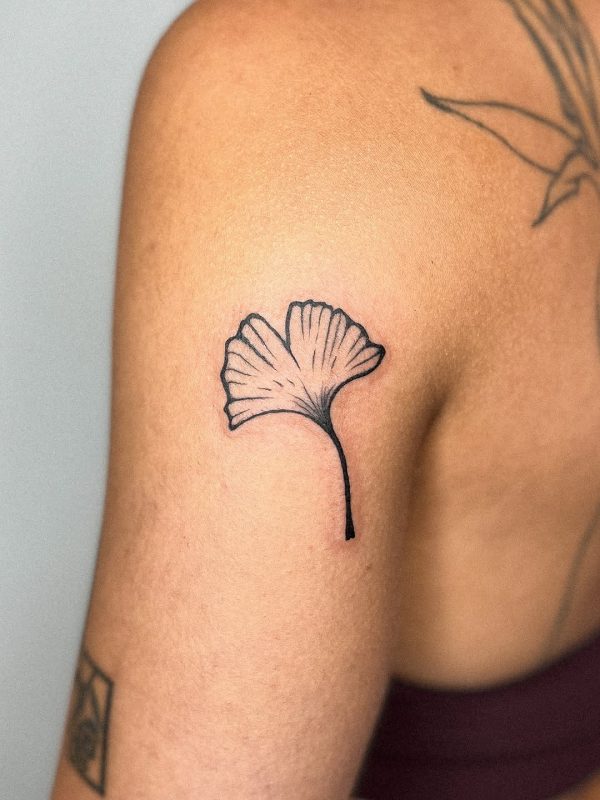 Ginkgo Leaf