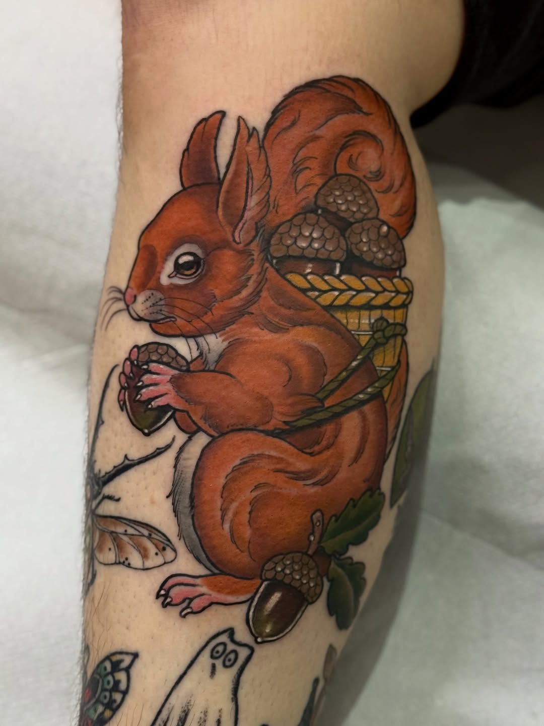 Squirrel with Acorns