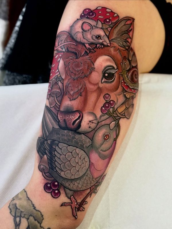 Animal Nature Scene