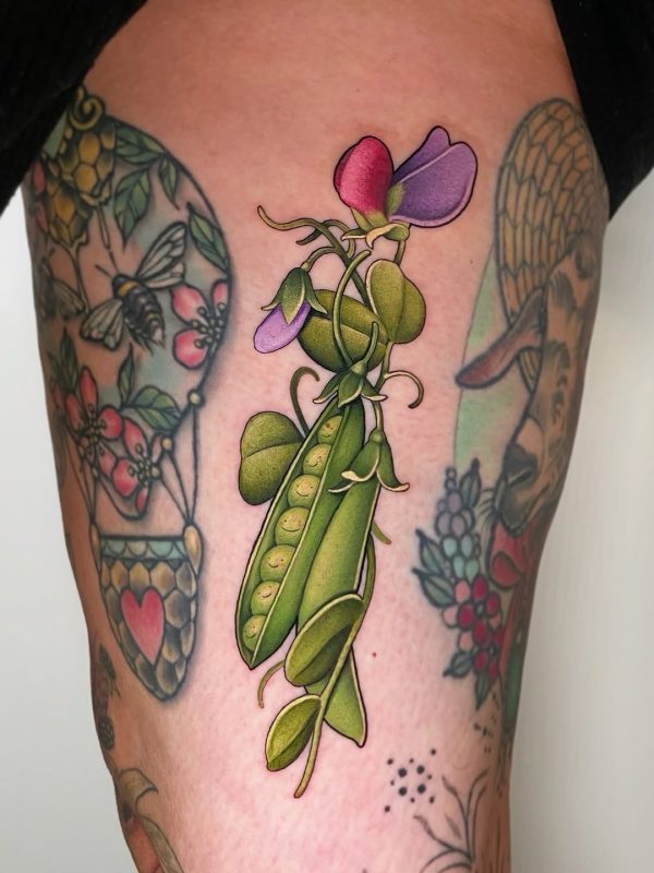 Pea Pod Bloom