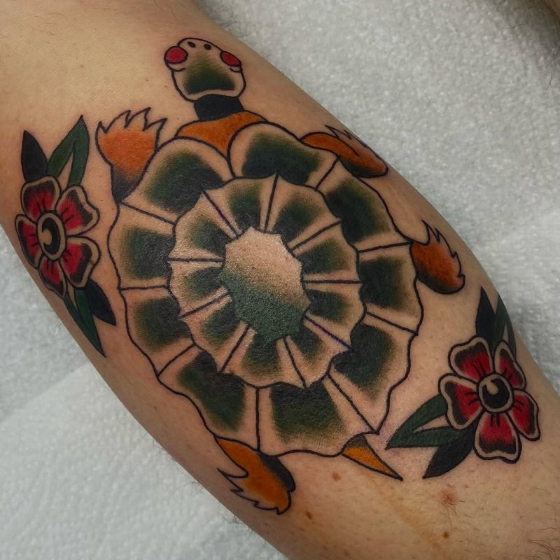 Traditional Turtle