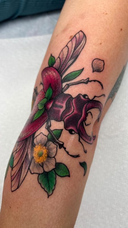 Beetle and Flower