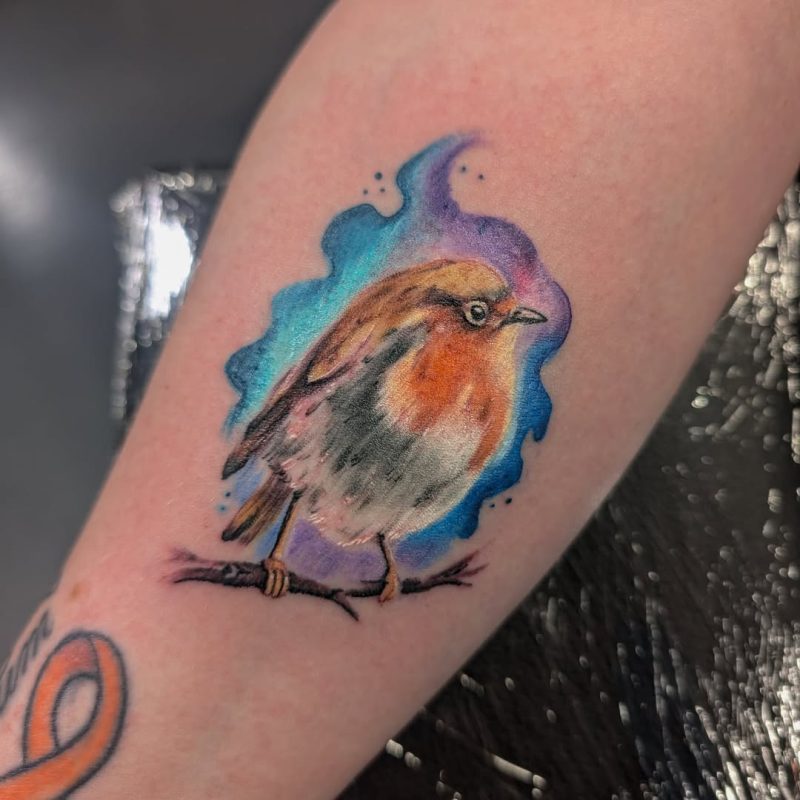 Colorful Bird