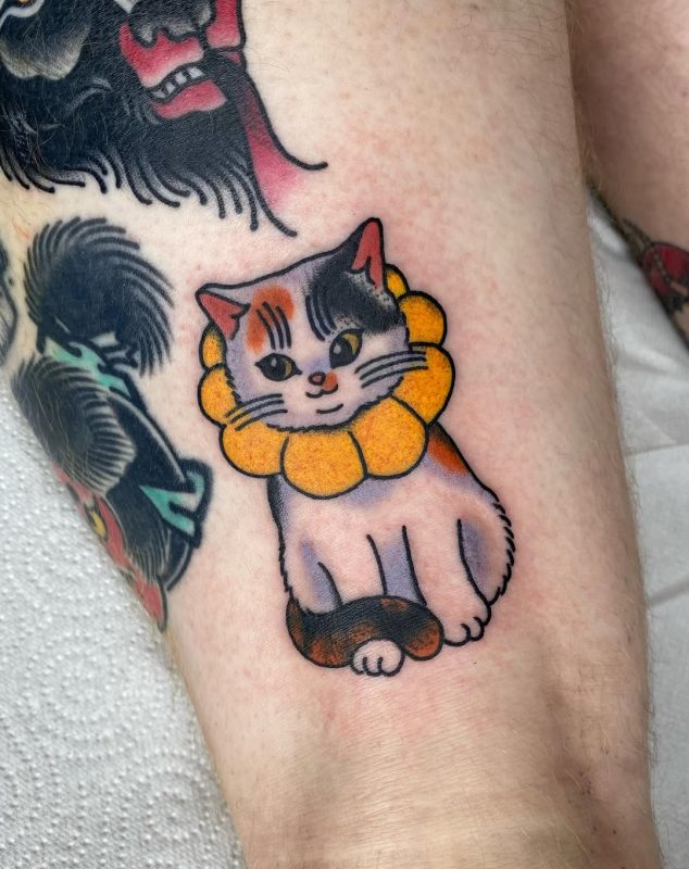 Cat with Collar