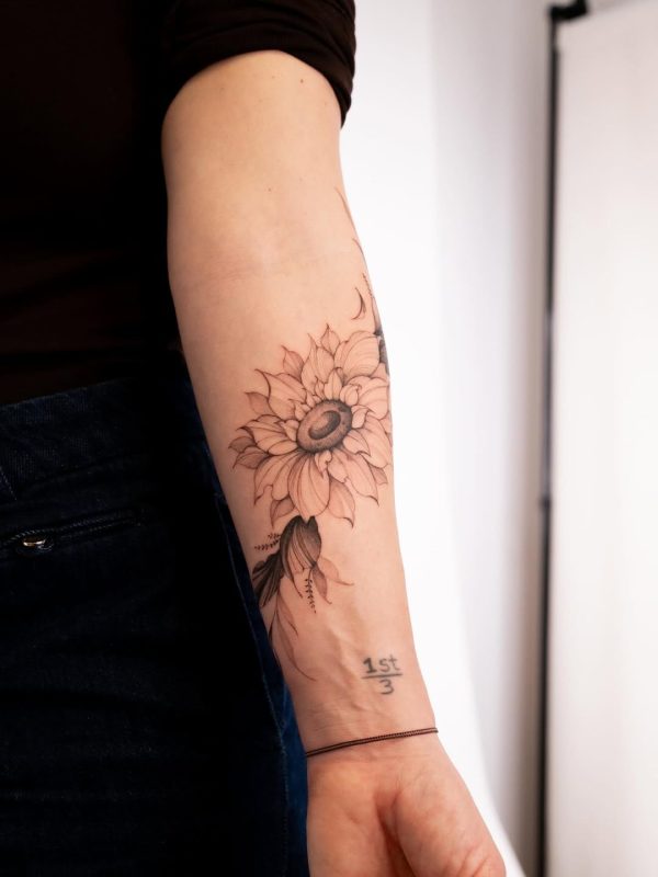 Fine Line Sunflower