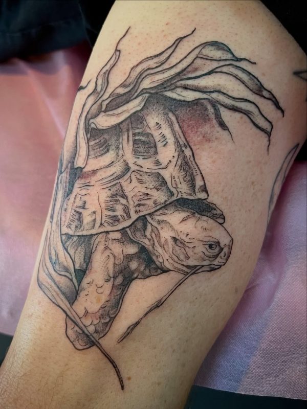 Turtle Etching