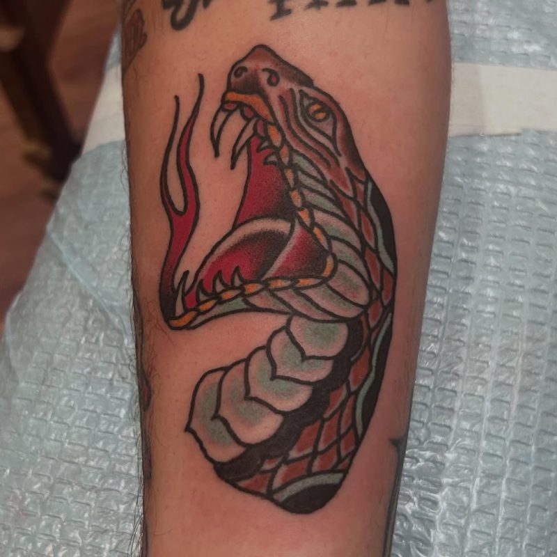 Snake Head