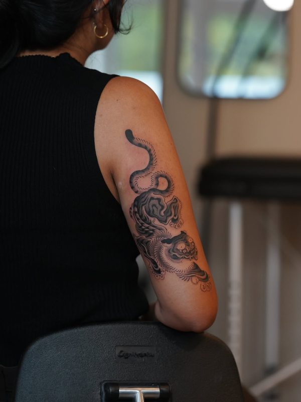 Japanese Tiger