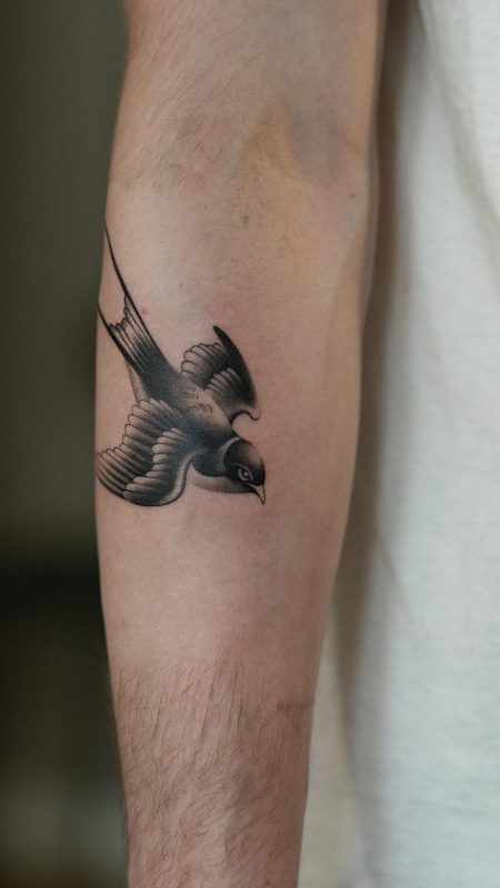 Flying Swallow