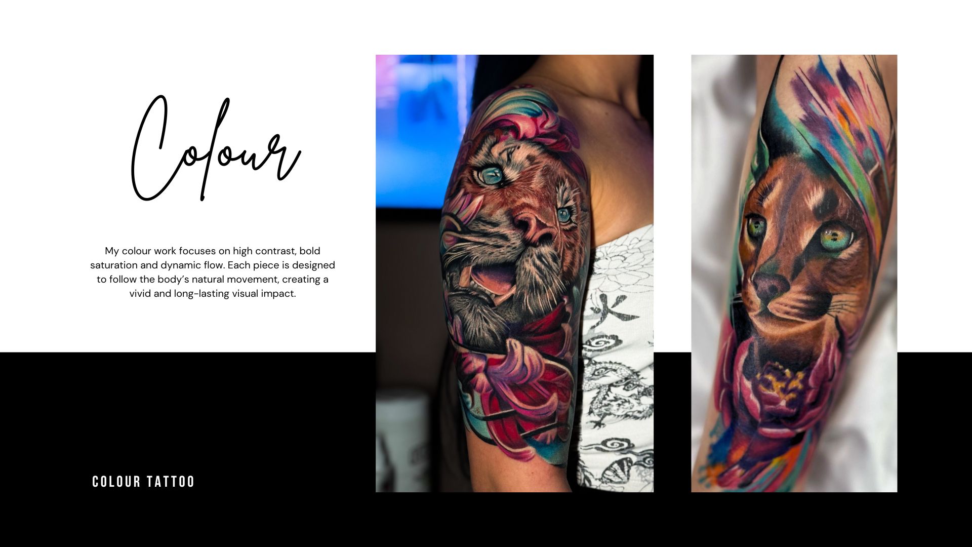 Colorful Lion Portrait