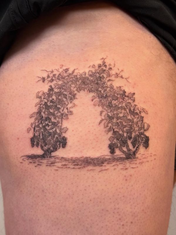 Ivy Arch