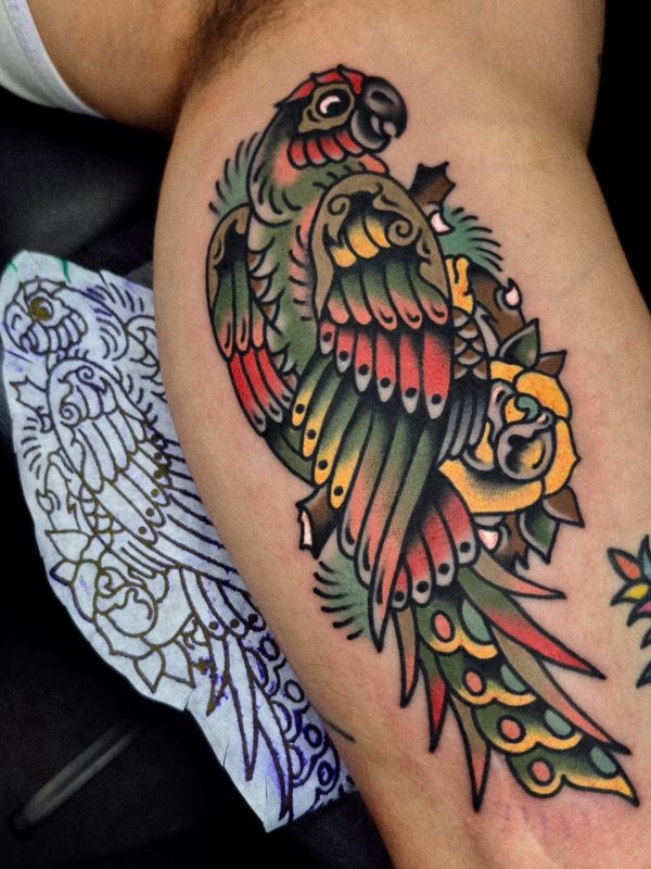 Colorful Parrot