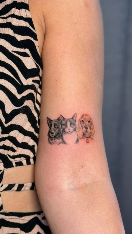 Pet Portraits