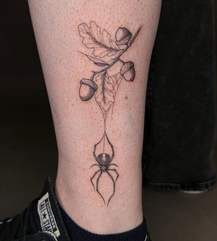 Spider and Acorns
