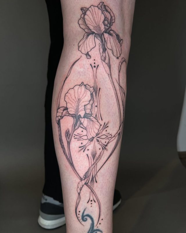 Fine Line Iris