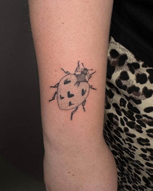 Heart Ladybug