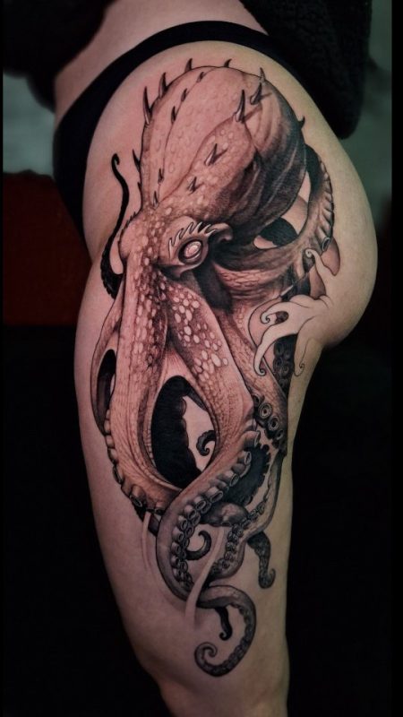 Octopus Realism