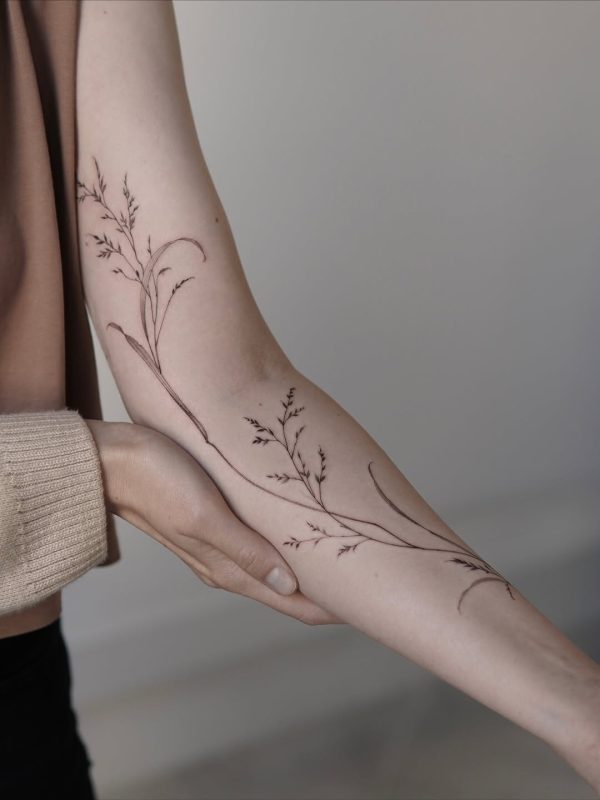 Delicate Branches