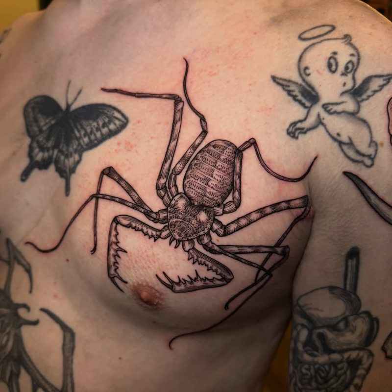 Praying Mantis