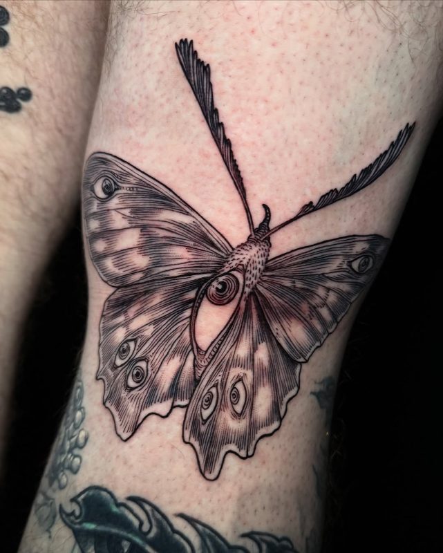 Etching Butterfly