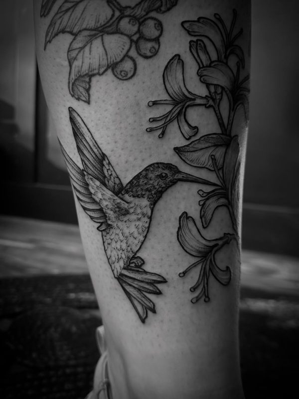 Hummingbird and Flowers