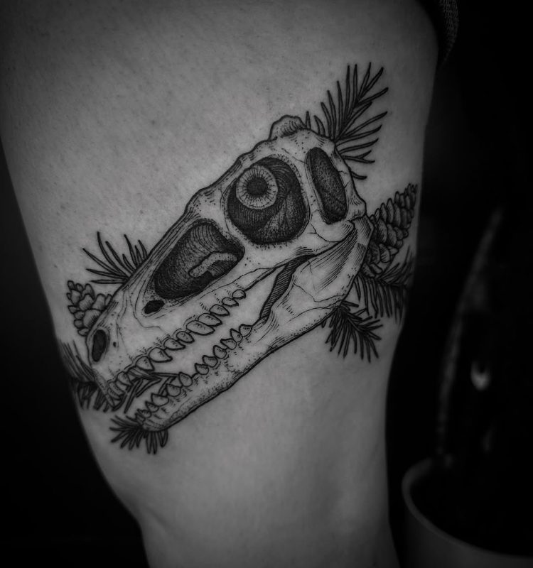 Dinosaur Skull