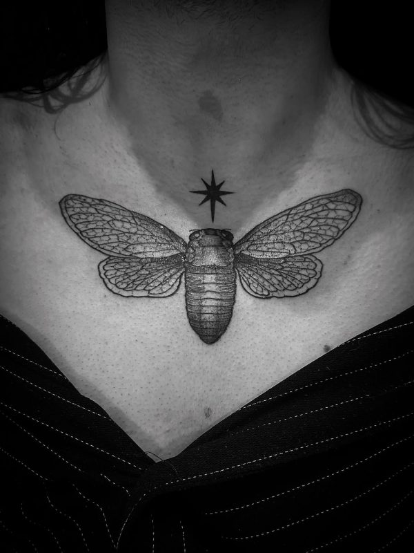 Cicada Chest
