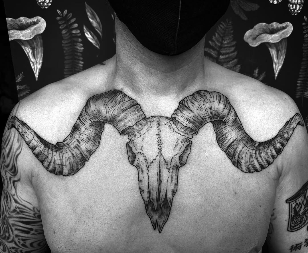 Ram Skull