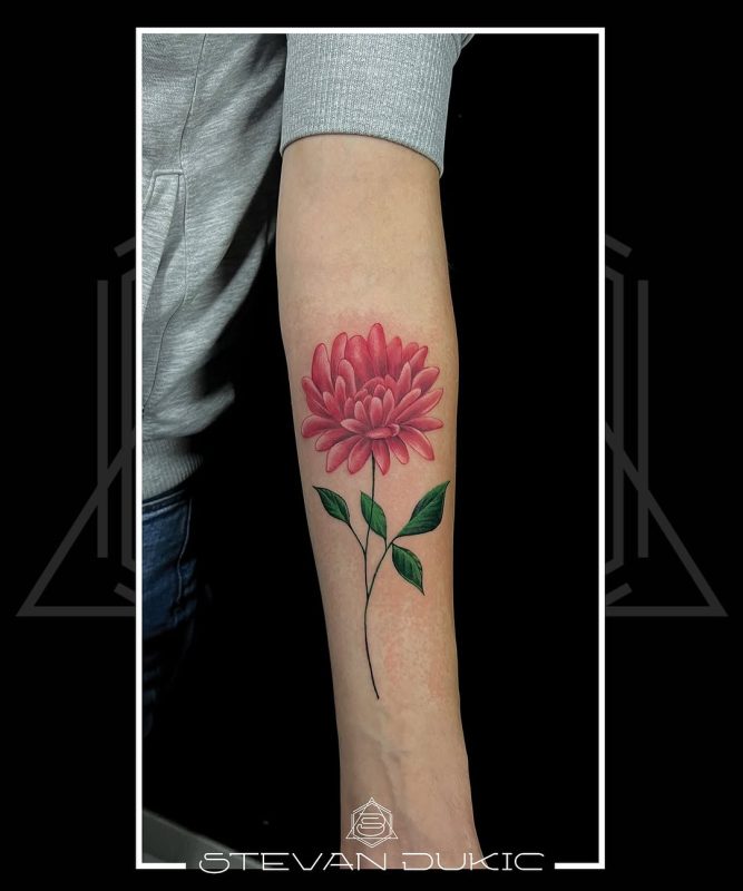 Red Flower
