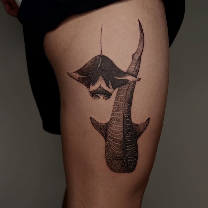Shark and Manta