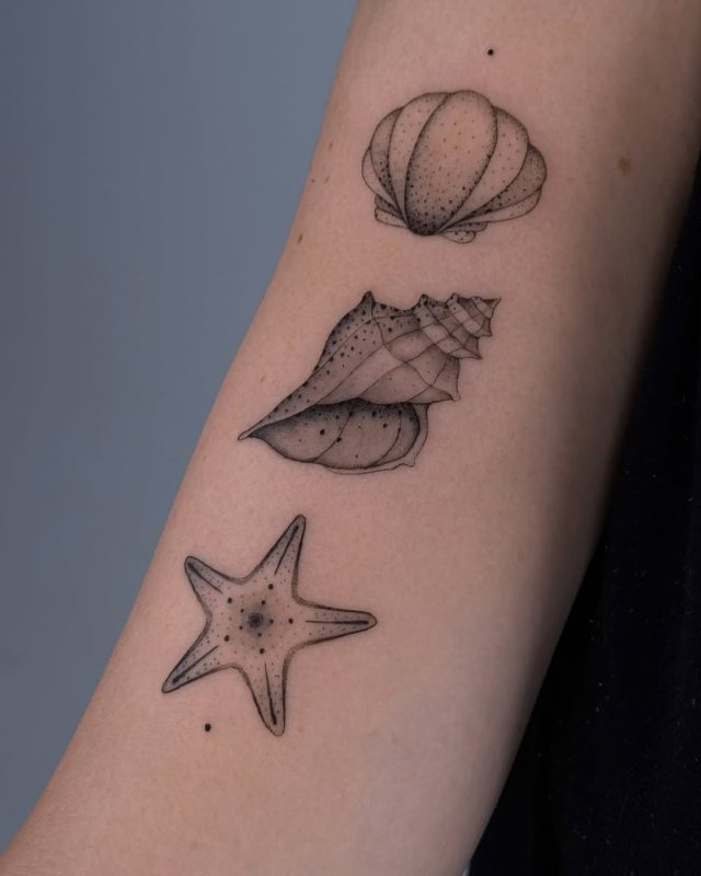 Dotwork Sea Shells