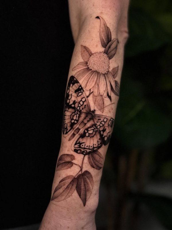 Butterfly and Flower