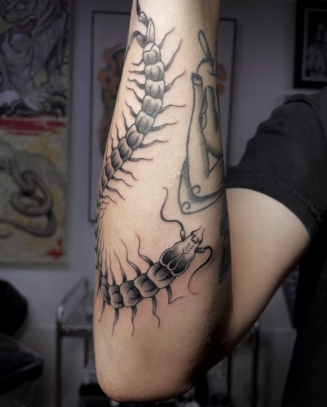 Centipede Elbow