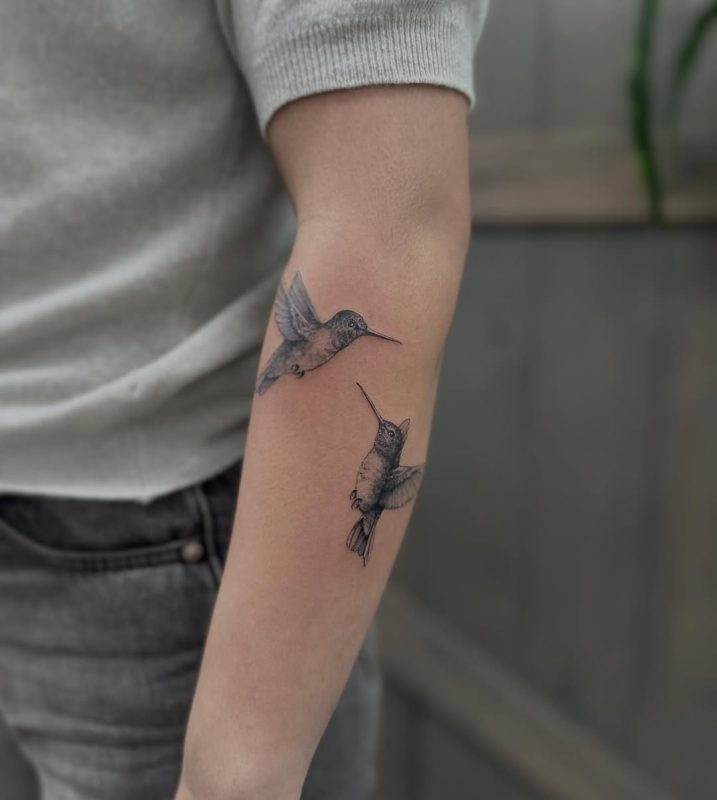 Hummingbird Duo