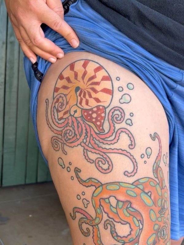 Octopus Nautilus